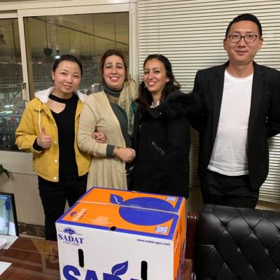 Ff56a1f9 B62e 49dc 82f0 Eae47b8ed358