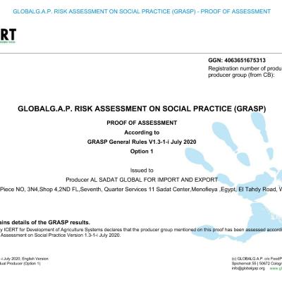 Ggn4063651675313grasp Cl230803 Page1